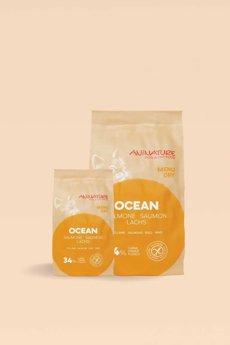 Ocean