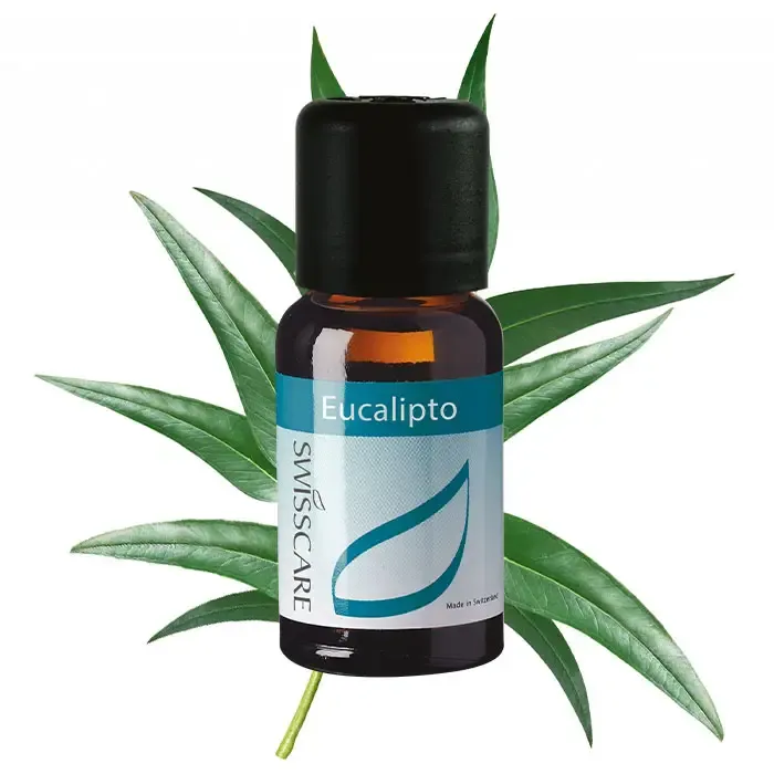Olio Essenziale Eucalipto